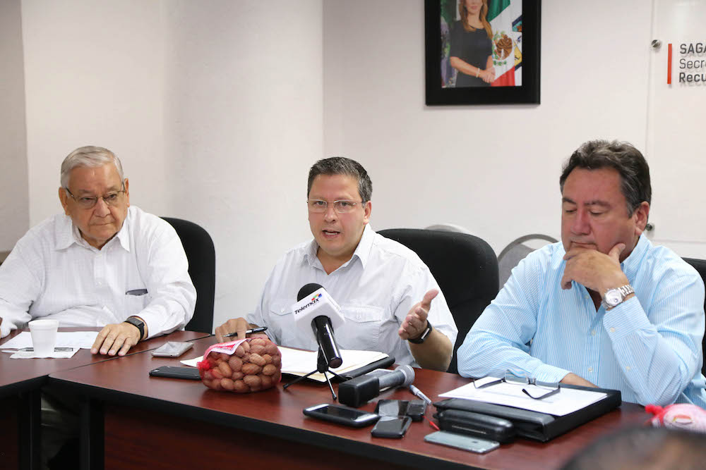 Anuncia Sagarhpa XVIII Simposio Internacional de Nogal Pecanero 2017