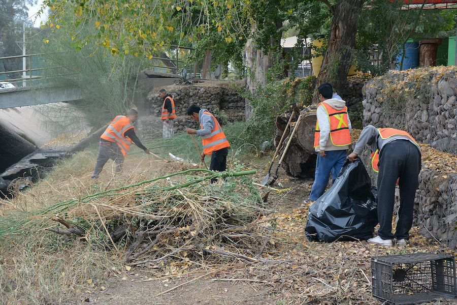 Infractores pagan multas con trabajo comunitario en Cajeme