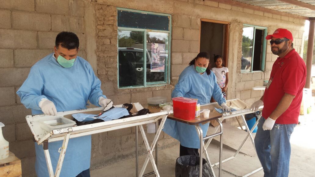 Inician actividades previas a la Semana Nacional de Vacunación Antirrábica