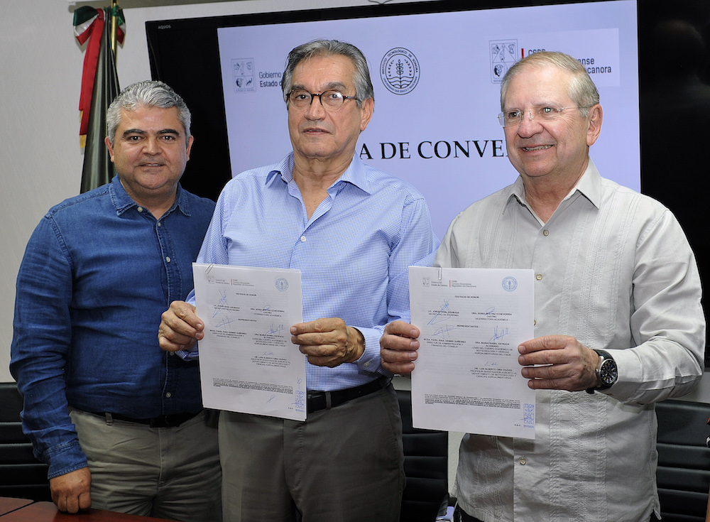 Busca Gobierno de Sonora fortalecer la industria del bacanora Busca Gobierno de Sonora fortalecer la industria del bacanora