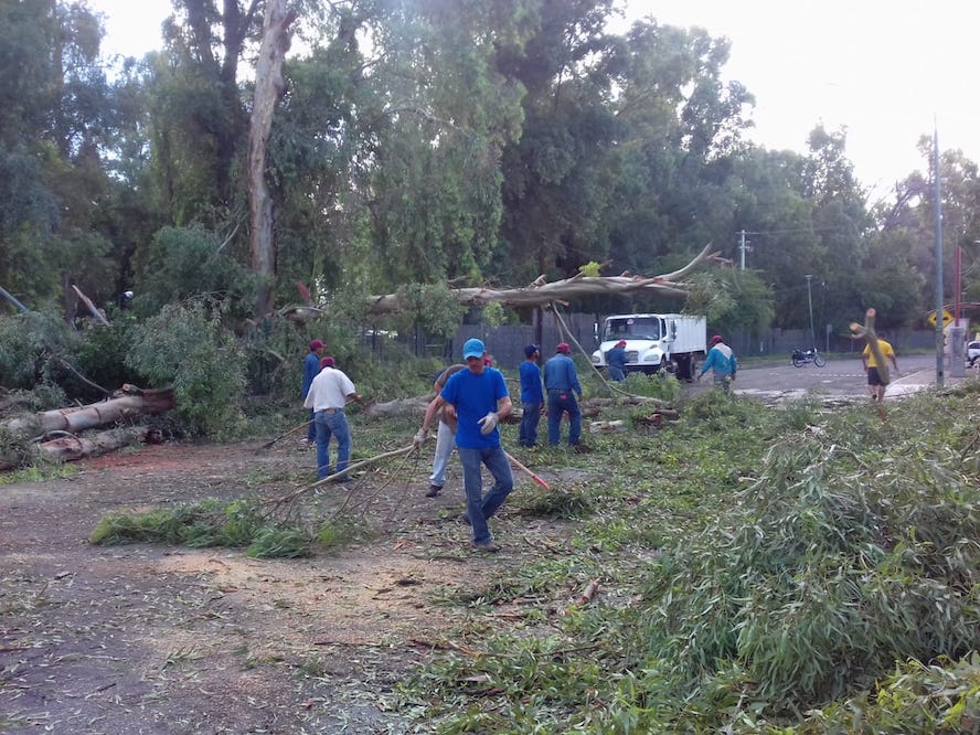 Provocan sólo daños materiales vientos de tormenta en Cajeme