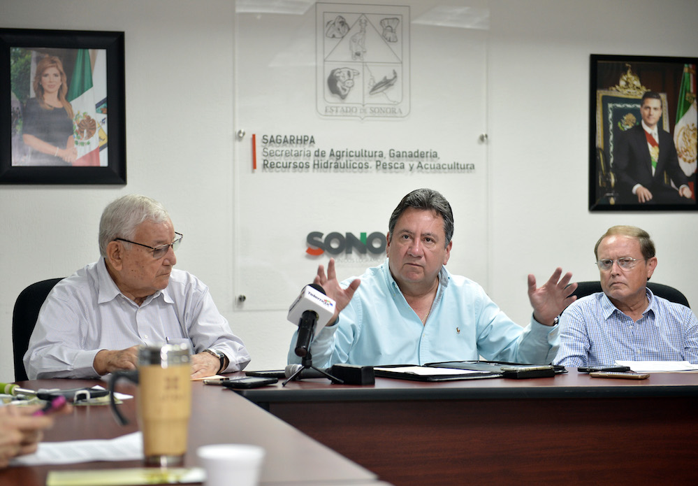Anuncia SAGARHPA XIX Simposio Internacional de Nogal Pecanero 2018