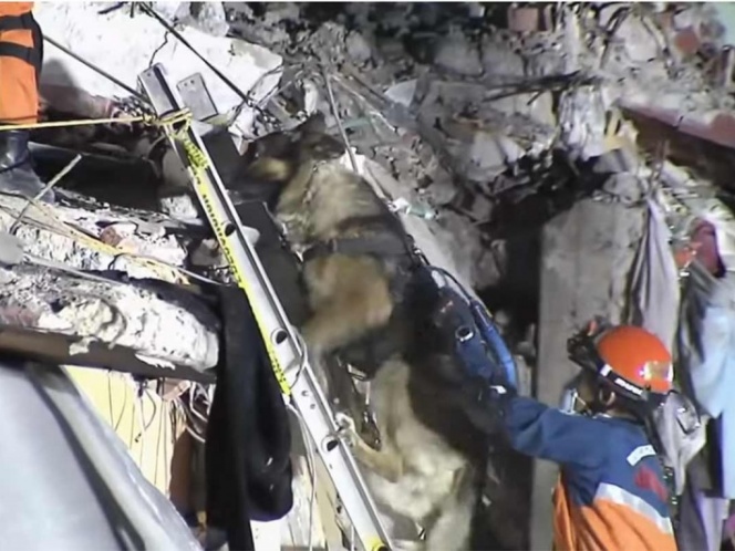 Documental ‘19-S La Tierra Grita’ se exhibirá en Reelworld Film Festival de Toronto