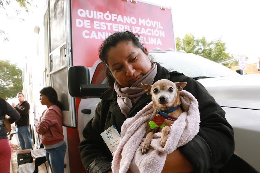Arranca jornada de esterilizaciones y vacunación de mascotas