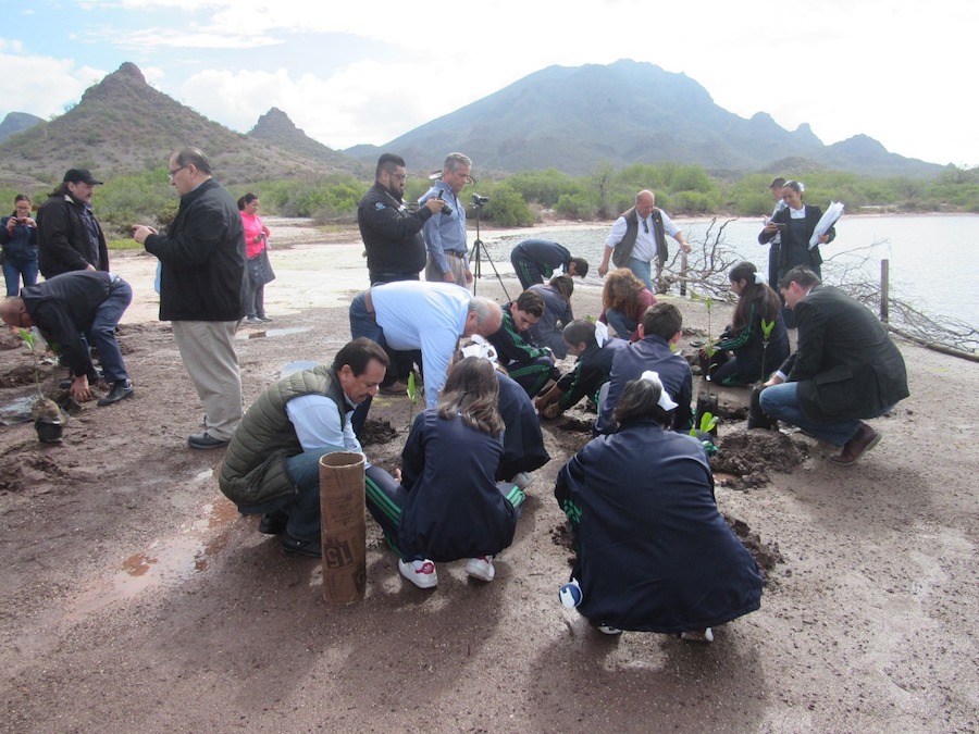 Instalan sistema fotovoltaico en Estero El Soldado Instalan sistema fotovoltaico en Estero El Soldado