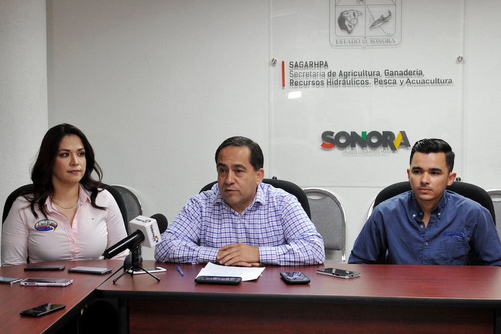 Recomienda Sagarhpa consumir mariscos en puntos establecidos en la cuaresma