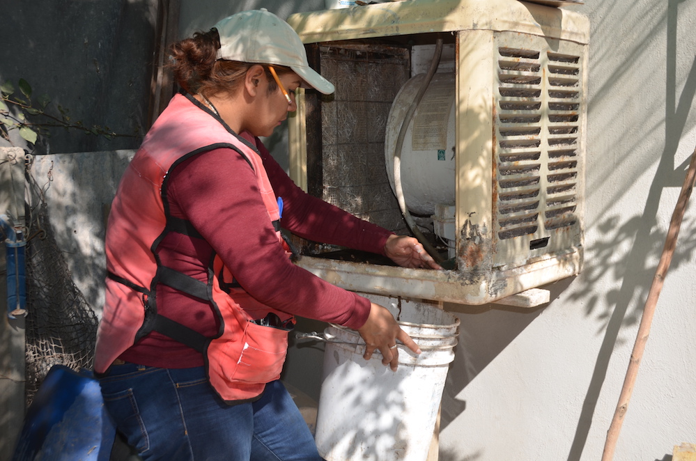 Llama Salud Sonora a no bajar la guardia contra el mosco