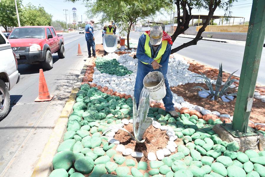 Proyectan dar color a camellones en Hermosillo