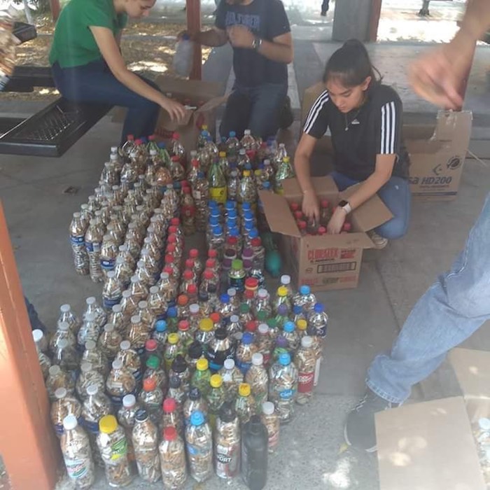 Alumnos y docentes del Cobach recolectan más de 40 kilos de colillas para proteger el medio ambiente