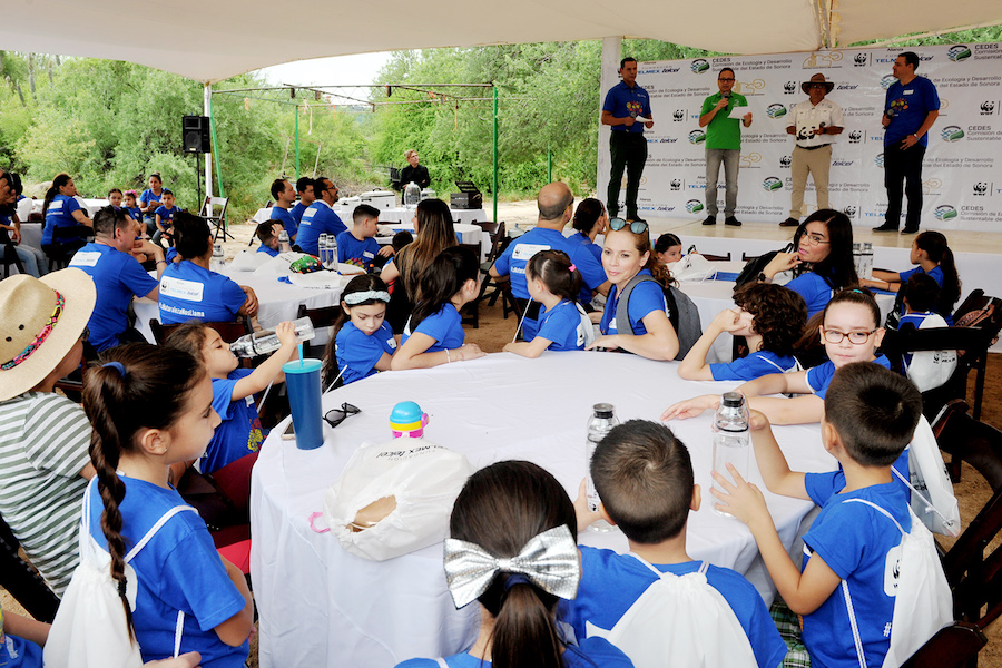 Instalan jardín para polinizadores en el Centro Ecológico de Sonora