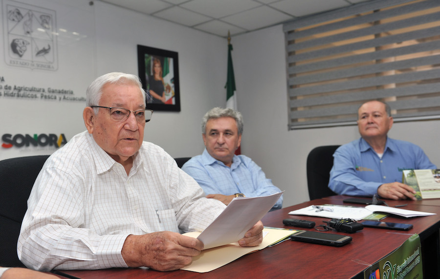 Hermosillo será sede del XX Simposio Internacional de Nogal Pecanero 2019