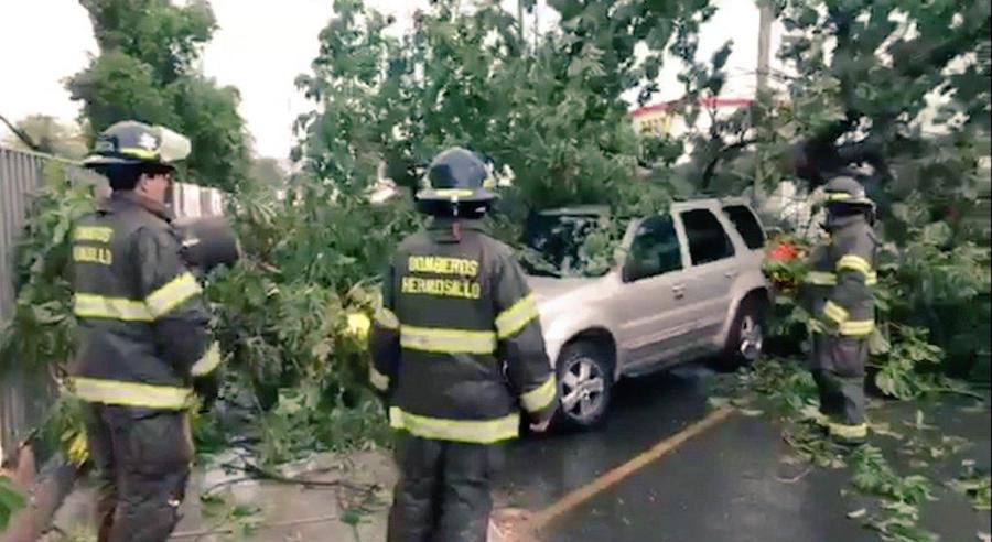 Atiende Ayuntamiento de Hermosillo reportes de daños por fuertes vientos y lluvia