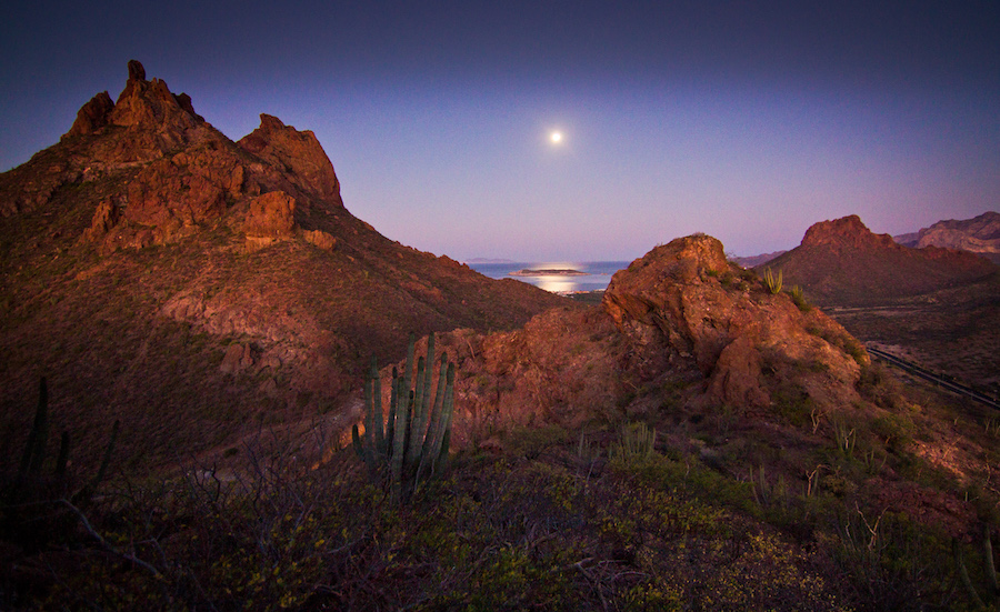 Seleccionan a los primeros Tesoros de Sonora