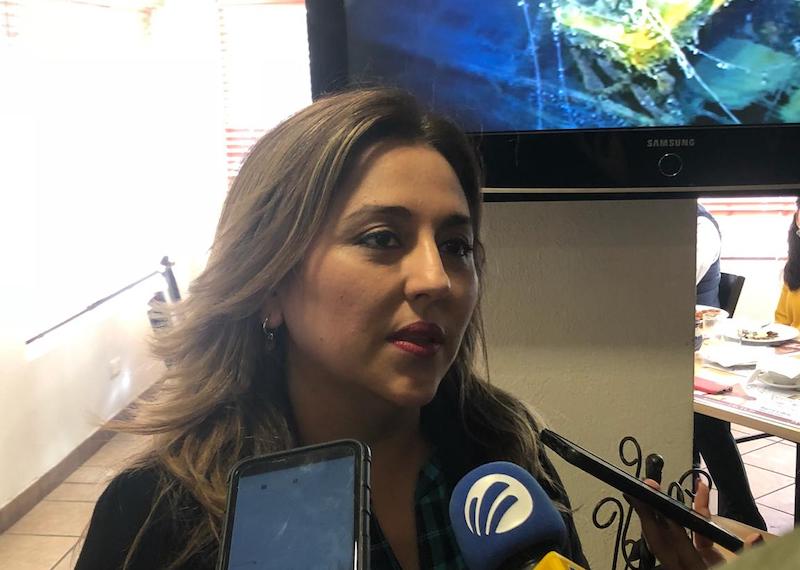 Analizarán a fondo en comisiones proyecto del Acuaférico: Platt Salazar