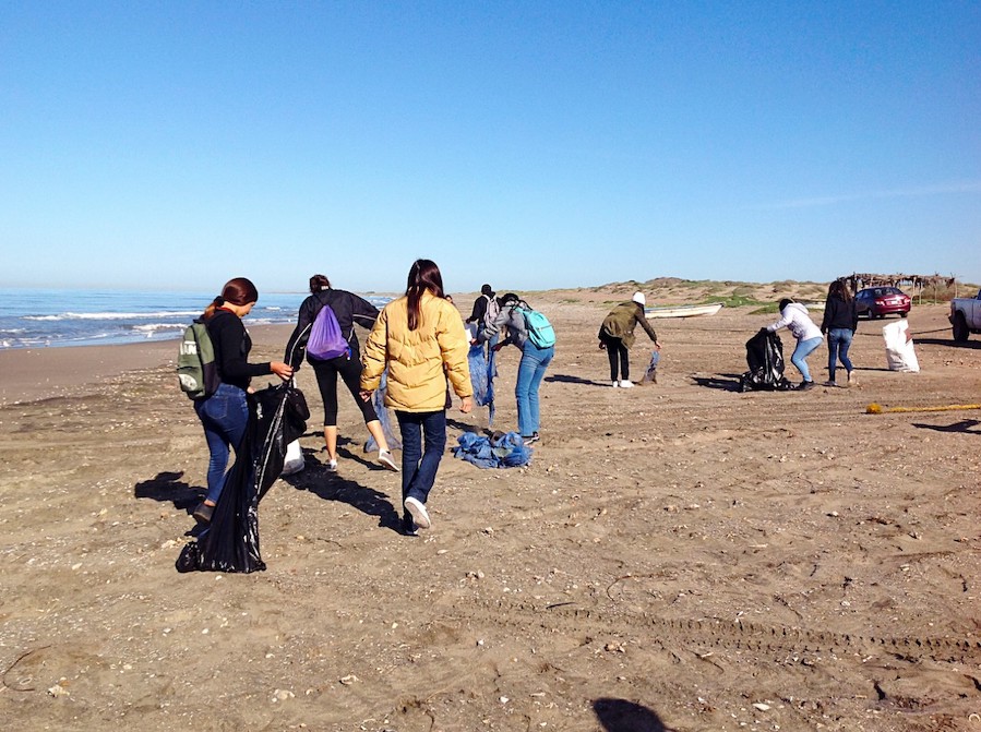 Se unen estudiantes para limpiar las playas del Sur Sonora