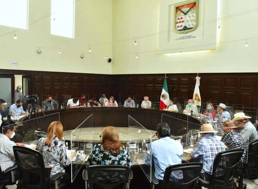 Aprueba Cabildo de Hermosillo Reglamento de Protección y Bienestar Canino y Felino