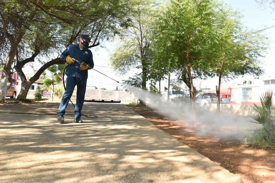 Limpieza de espacios públicos ayuda a proteger salud de hermosillenses: Celida López