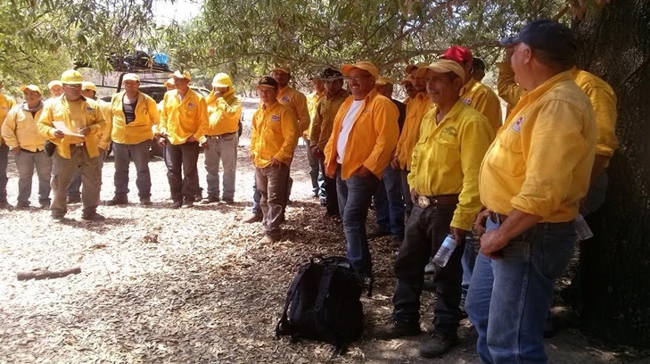 Van 34 incendios forestales en Sonora