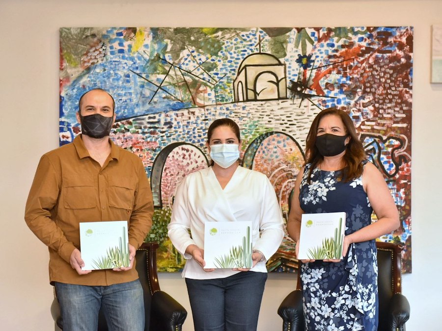 Paleta Vegetal será fundamental para forestación óptima de áreas públicas: Celida López Paleta Vegetal será fundamental para forestación óptima de áreas públicas: Celida López