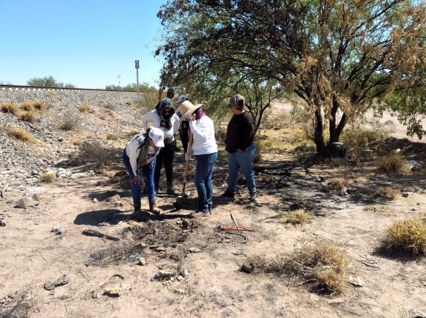 Madres Buscadoras de Sonora, seguirán con sus acciones de campo este año