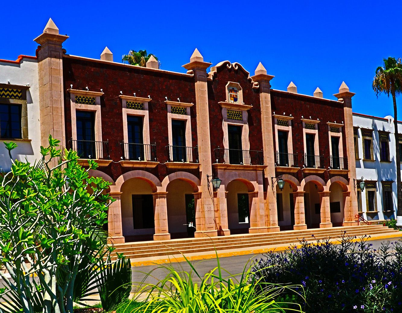 Alumnos de la Unison reciben Premio al Desempeño de Excelencia