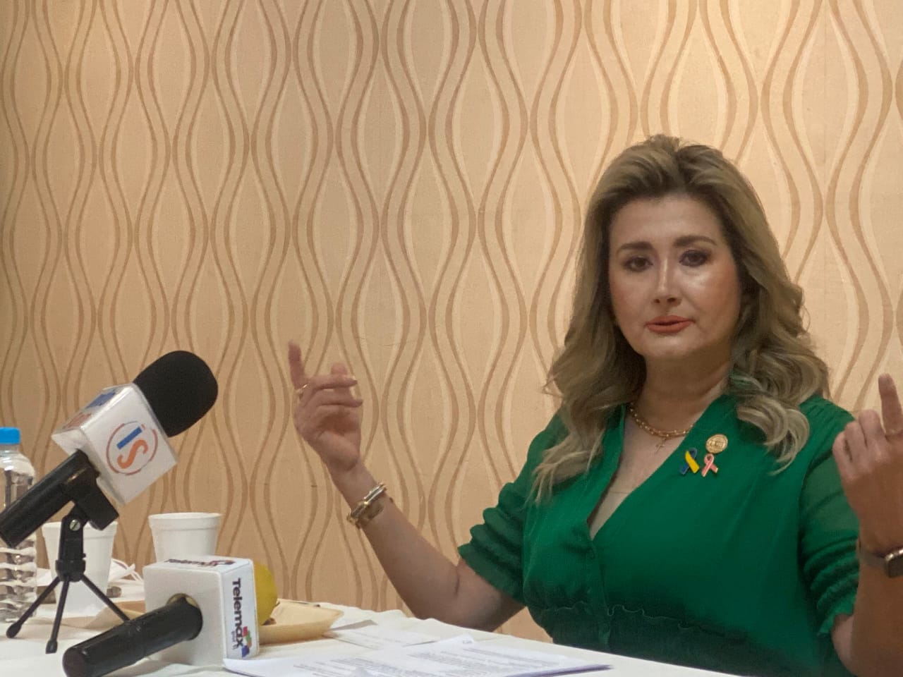 Los diputados del PRI no estamos con el gobierno de Sonora, ni Morena: Ely Sallard Los diputados del PRI no estamos con el gobierno de Sonora, ni Morena: Ely Sallard