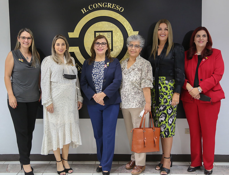 Atender rezagos sociales será prioridad de la Comisión de Desarrollo Social y Asistencia Pública