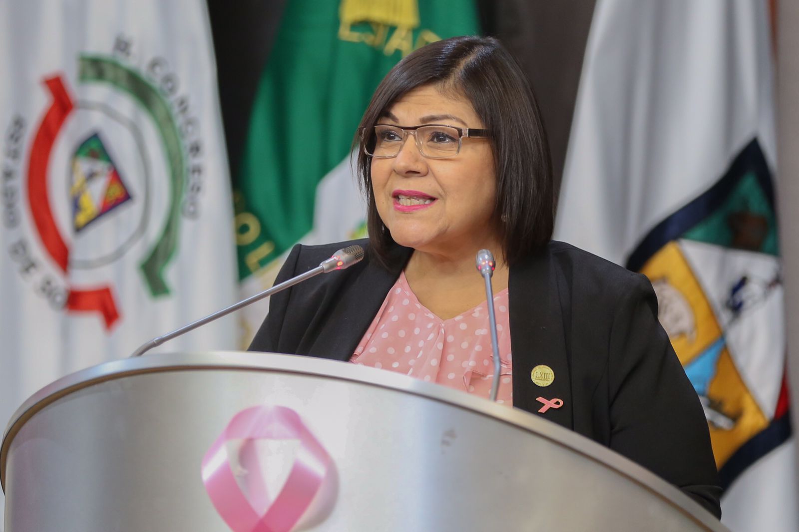 La Universidad de Sonora pertenece al pueblo de Sonora: Rosa Elena Trujillo La Universidad de Sonora pertenece al pueblo de Sonora: Rosa Elena Trujillo