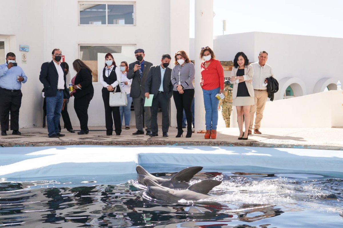 Impulsa Cedes la inclusión por medio de atenciones a personas con capacidades diferentes Impulsa Cedes la inclusión por medio de atenciones a personas con capacidades diferentes