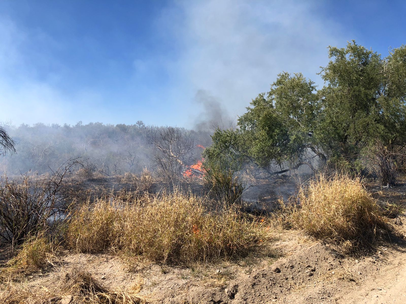Registran contundentes avances en combate a incendio forestal en carretera Hermosillo-Santa Ana