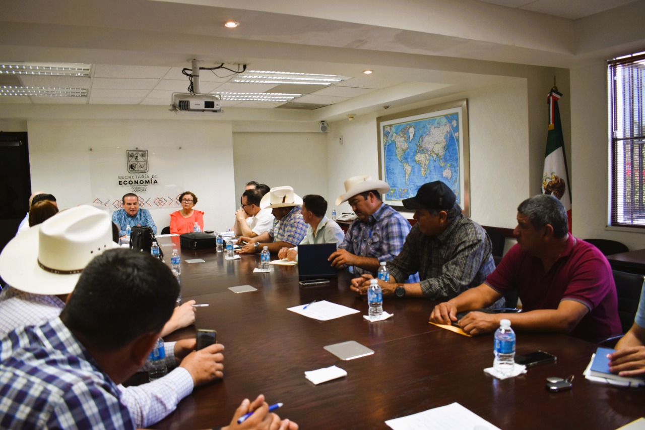 Realiza la secretaría de Economía mesas de trabajo con alcaldes de diversos municipios de Sonora