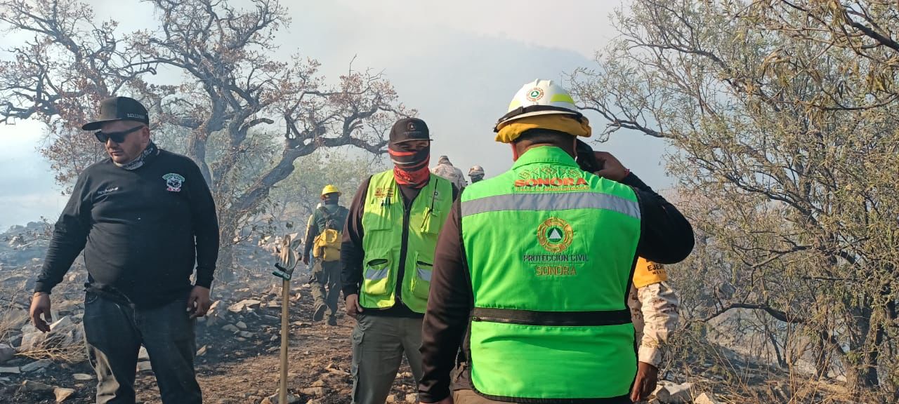 Avanza combate a incendio forestal en Ímuris