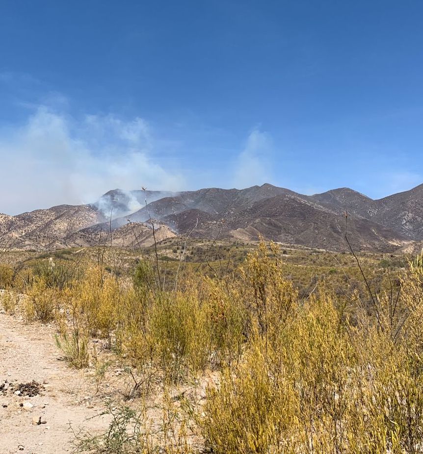 Controlan al 100 por ciento incendio forestal de Ímuris: Protección Civil estatal Controlan al 100 por ciento incendio forestal de Ímuris: Protección Civil estatal