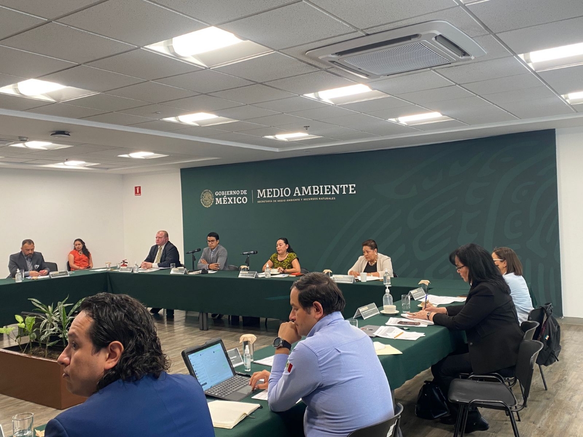 Participa Fátima Rodríguez en Convención sobre el Comercio Internacional de Especies Amenazadas de Fauna y Flora Silvestre CITES-2022 Participa Fátima Rodríguez en Convención sobre el Comercio Internacional de Especies Amenazadas de Fauna y Flora Silvestre CITES-2022
