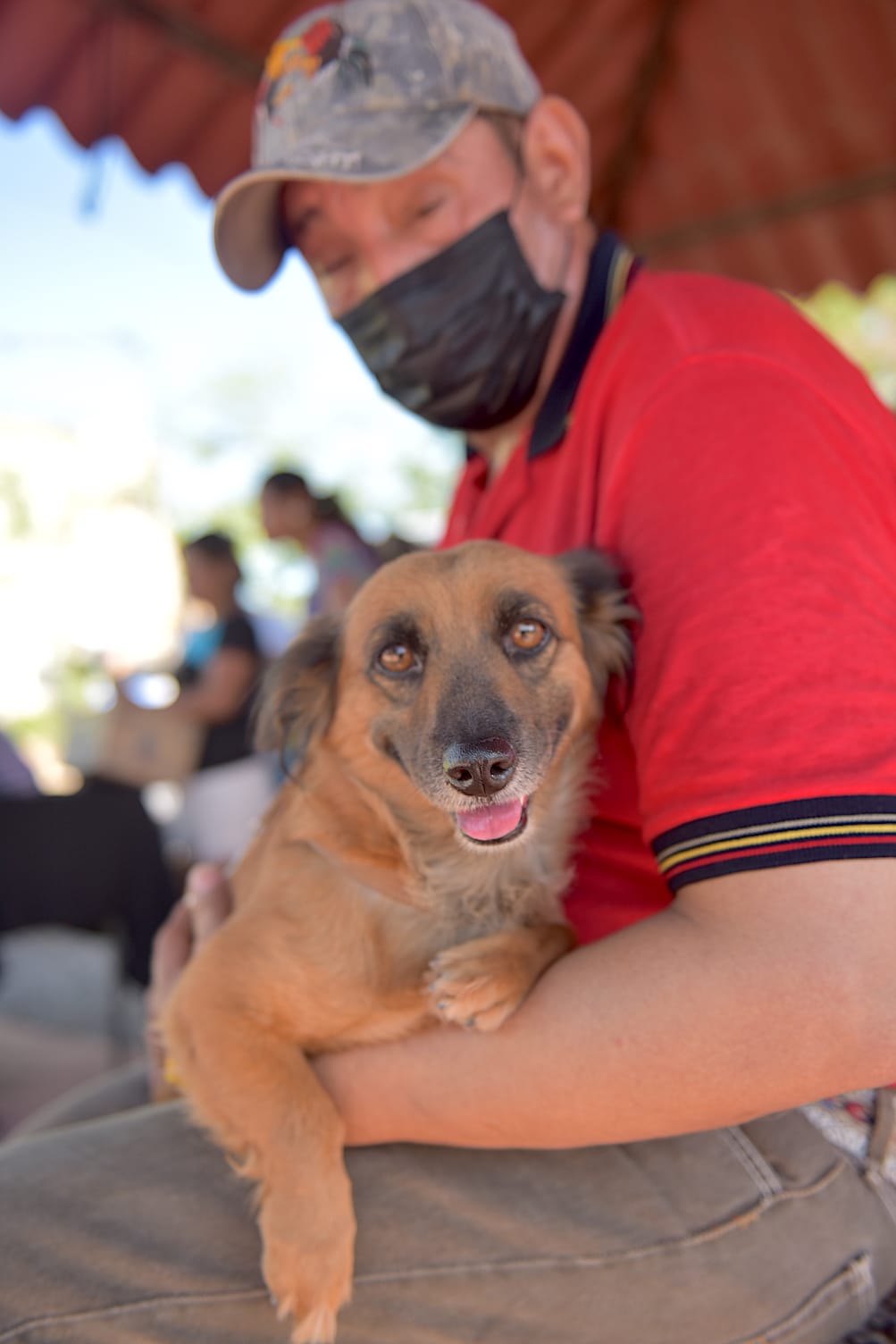 <strong>Requieren mascotas cuidados ante calor extremo</strong>