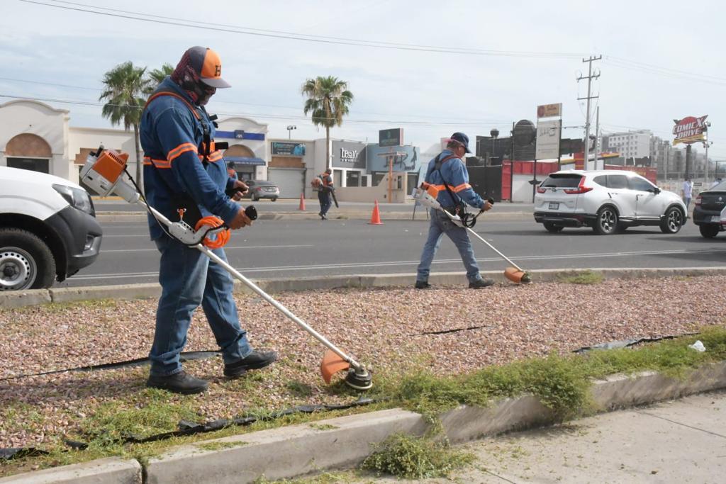 Retira Ayuntamiento maleza y basura en bulevar Colosio