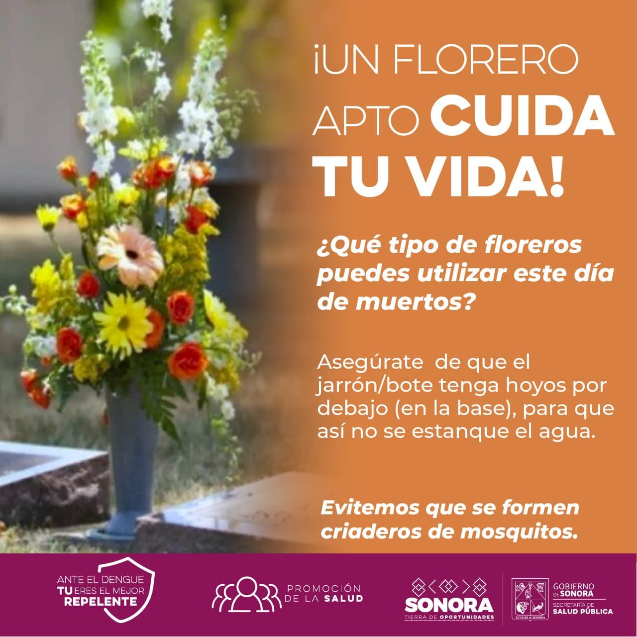 Implementa Secretaría de Salud acciones contra el dengue en festividades del Día de Muertos