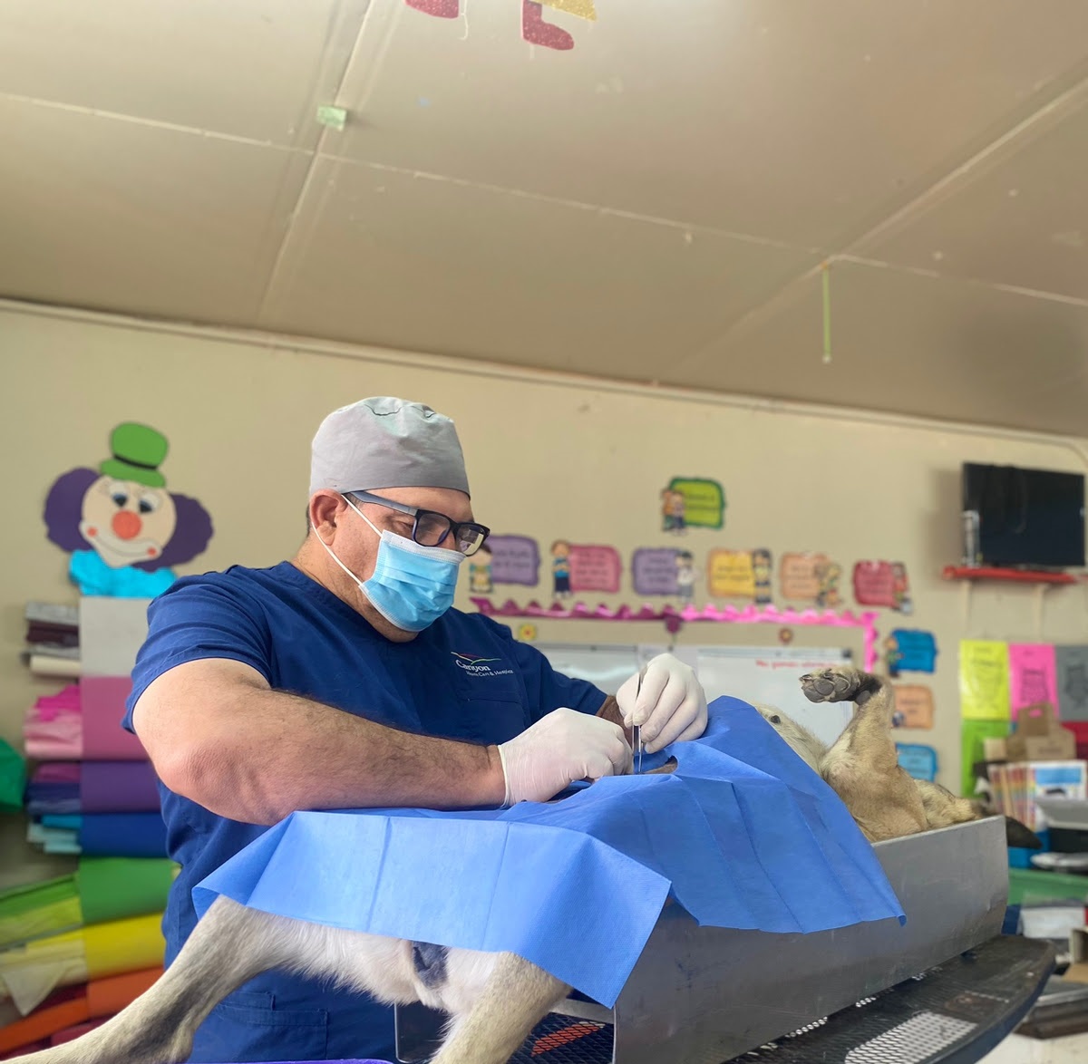 Acerca Gobierno de Sonora servicios veterinarios gratuitos a Moctezuma