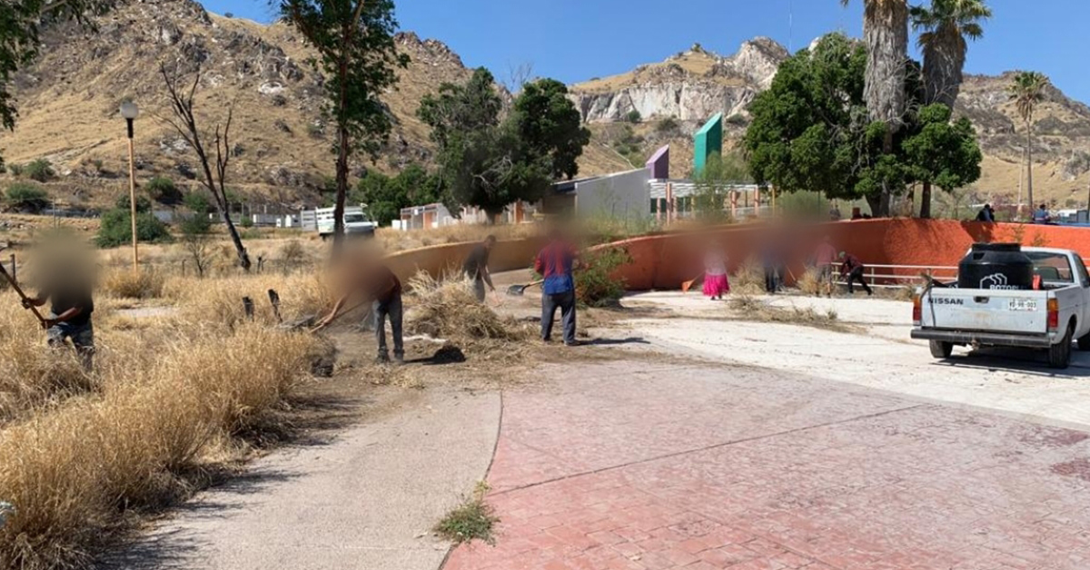 Gobierno de Sonora inicia limpieza de áreas verdes del parque La Sauceda