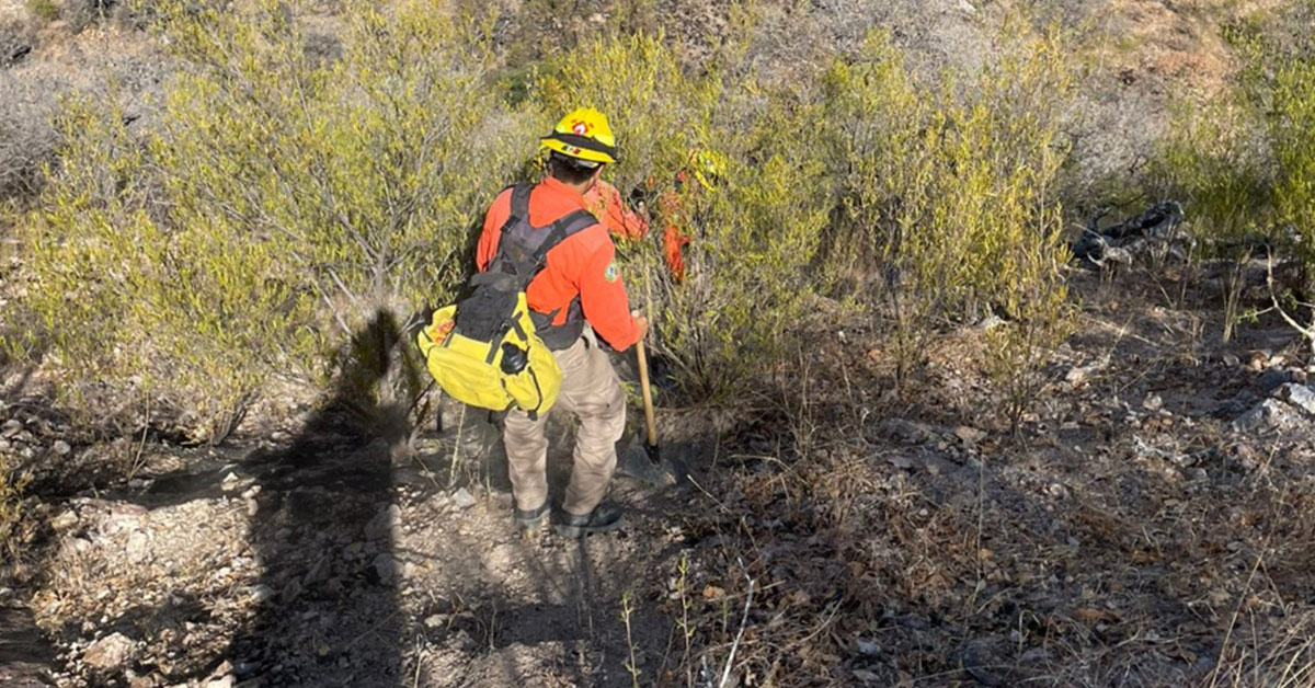 Liquidado incendio forestal en Moctezuma: Protección Civil Sonora Liquidado incendio forestal en Moctezuma: Protección Civil Sonora