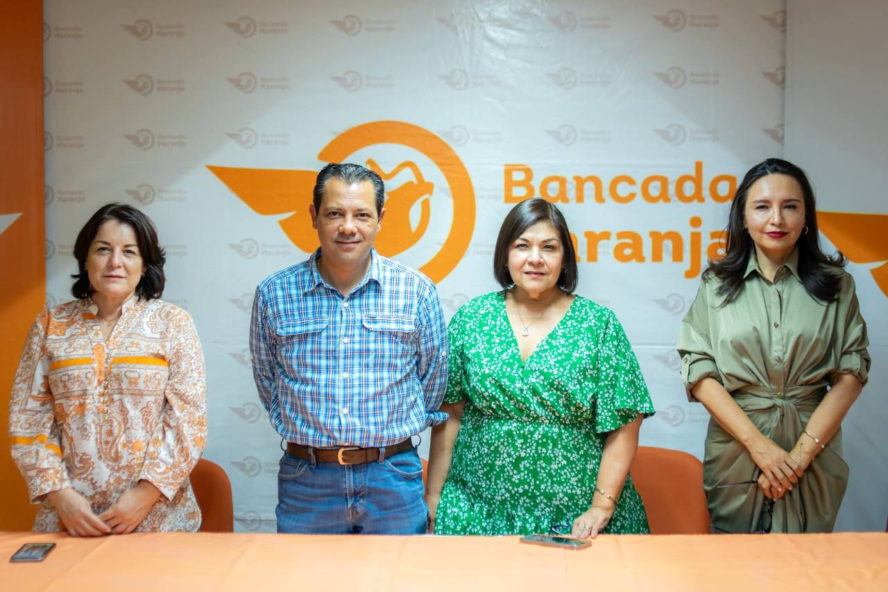 Altos costos en recibos de CFE deben ser atendidos ya: Bancada Naranja Altos costos en recibos de CFE deben ser atendidos ya: Bancada Naranja