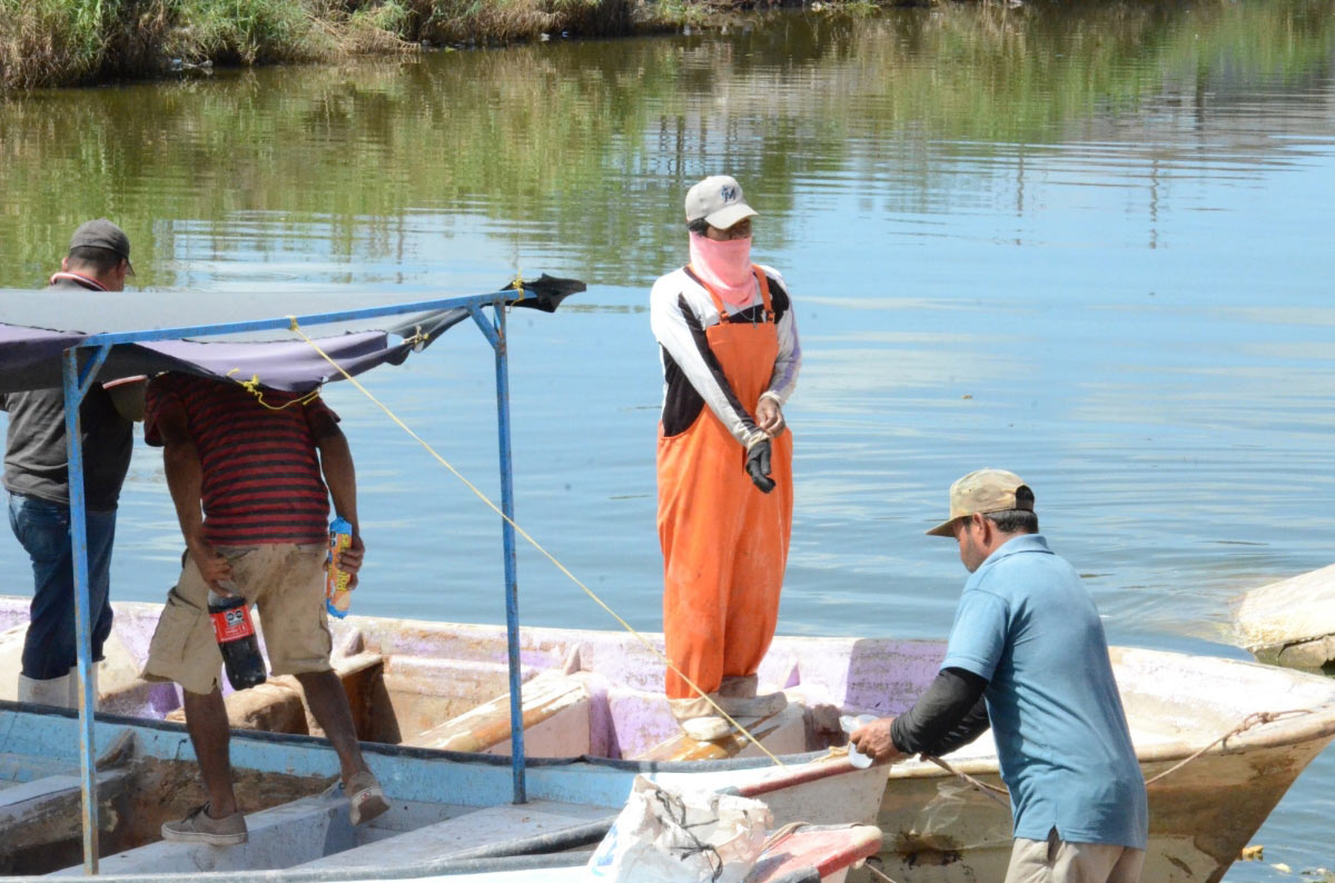 Apoya Sagarhpa al cooperativismo entre pescadores con más de 5 millones de pesos