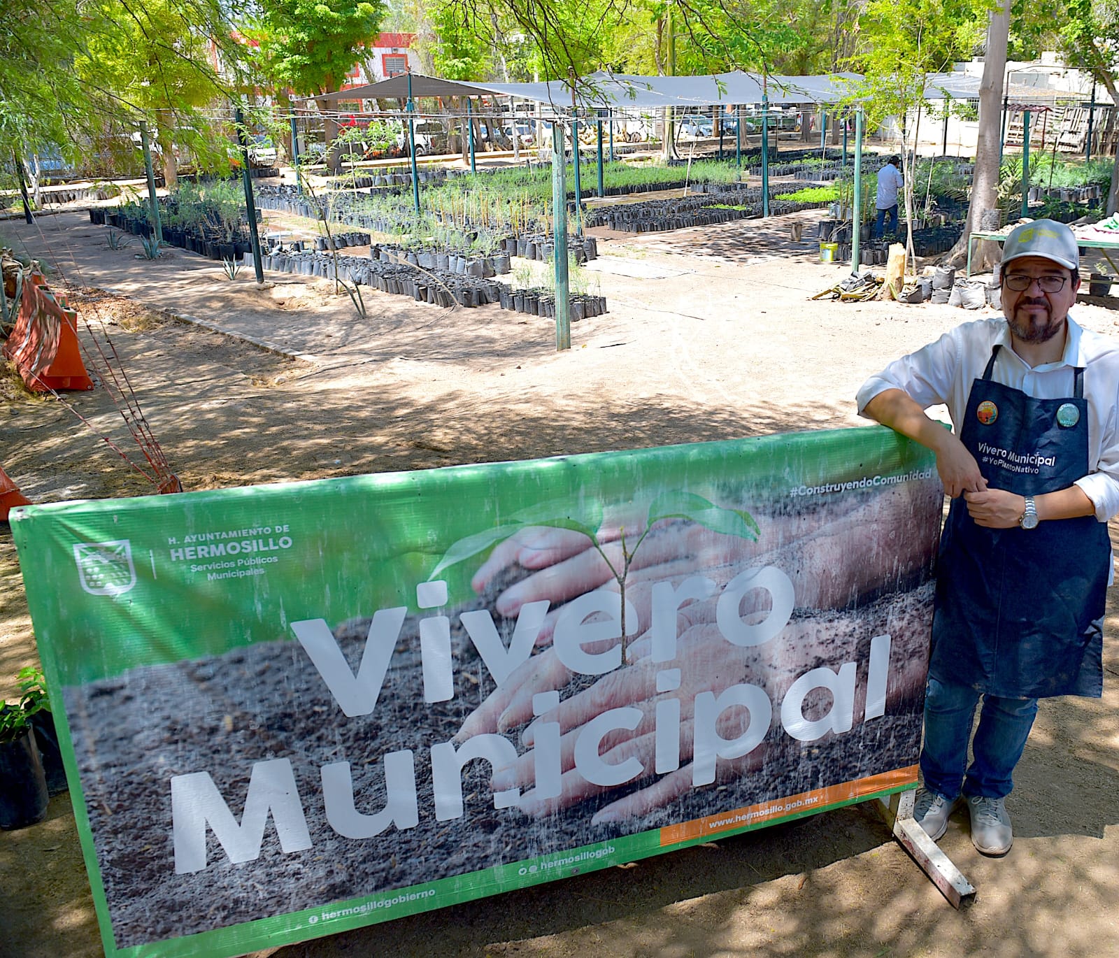 Regala Vivero Municipal de Hermosillo 500 árboles de especies nativas