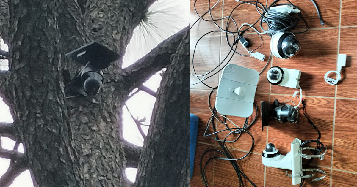 Aseguradas y desinstaladas cámaras de video clandestinas en Yécora