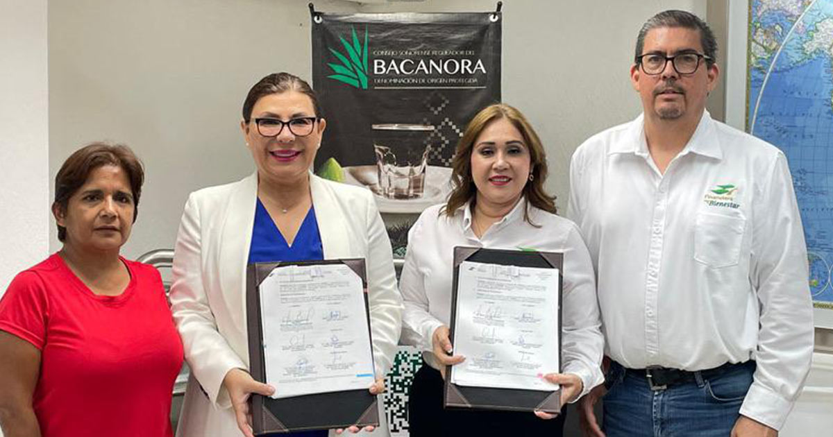 Firman convenio de colaboración Consejo Sonorense Regulador del Bacanora y Financiera para el Bienestar