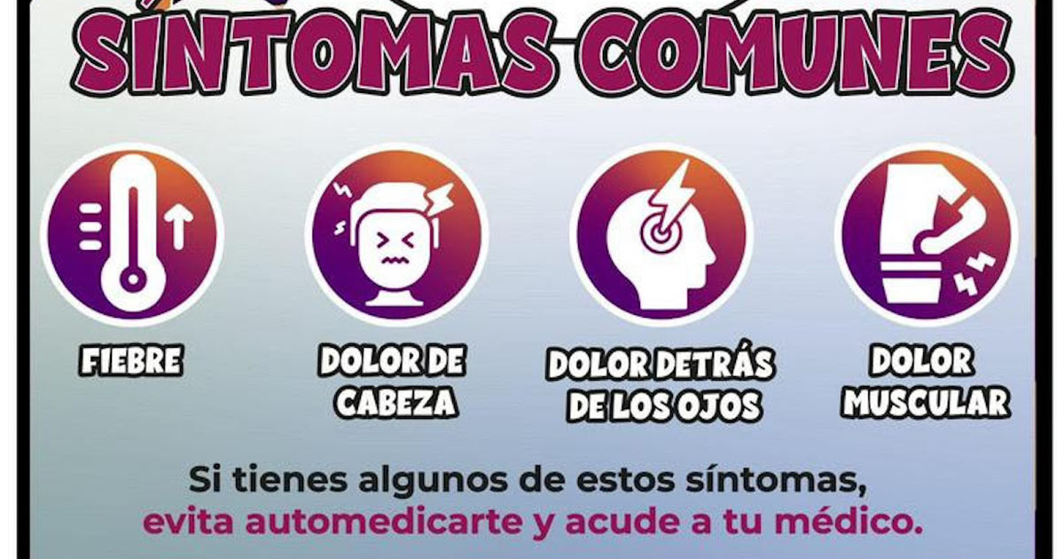 Salud Sonora llama a mantener hogares limpios para prevenir enfermedades como dengue y Rickettsiosis