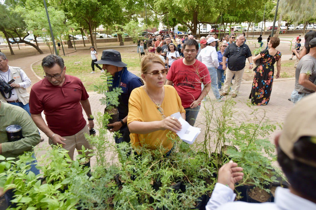 ¿Quieres un árbol nativo? acude al Vivero Municipal