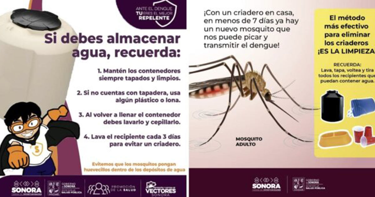 Sonora con seis semanas sin casos positivos de dengue