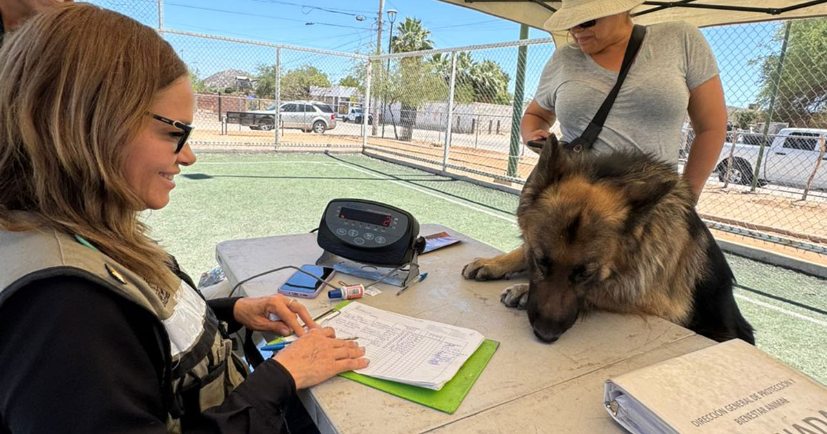 Lleva Gobierno de Sonora jornada de salud para animales de compañía a colonia de Hermosillo