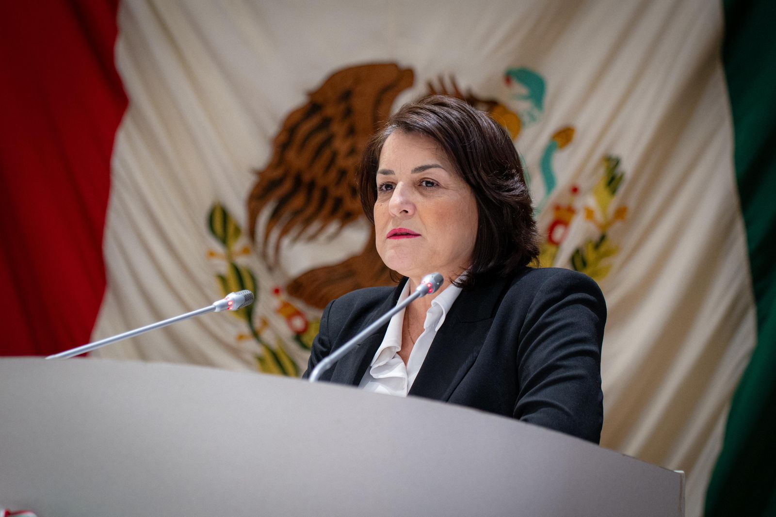 Urgente crear una Ley estatal para prevenir y erradicar el reclutamiento de niñas, niños y adolescentes en Sonora: Diputada Gabriela Félix Urgente crear una Ley estatal para prevenir y erradicar el reclutamiento de niñas, niños y adolescentes en Sonora: Diputada Gabriela Félix